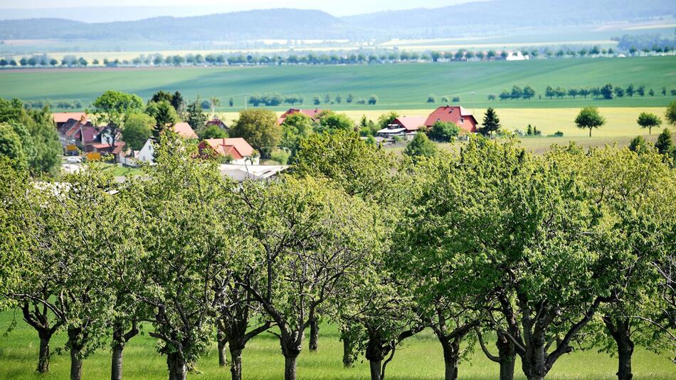 Aspenstedt